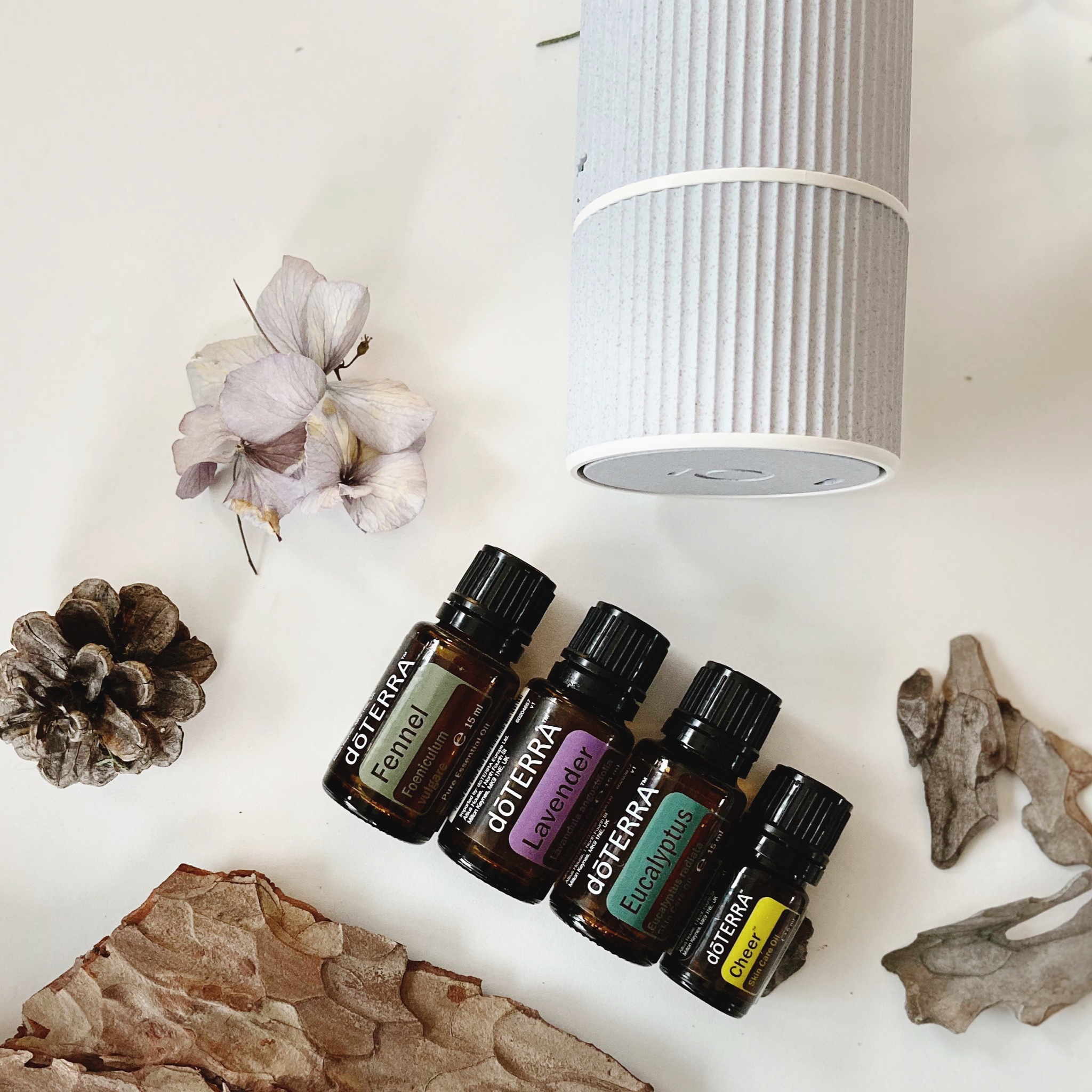 Yoga Kurs Perchtoldsdorf ätherische Öle doterra